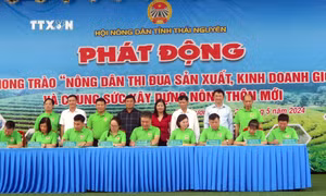 Thái Nguyên khuyến khích nông dân phát triển mô hình sản xuất nông nghiệp mới