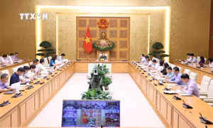 Tập trung xây dựng văn bản quy phạm pháp luật liên quan đến Luật Đất đai 2024