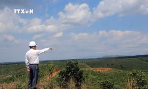 182 ha đất tái định canh bị lấn chiếm chưa thể thu hồi sau 17 năm