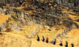 Tổ chức cuộc thi ảnh "Phụ nữ với gia đình và xã hội"
