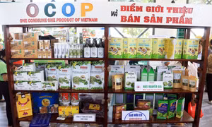 Sản phẩm OCOP thổi hồn mới cho đặc sản Vĩnh Long