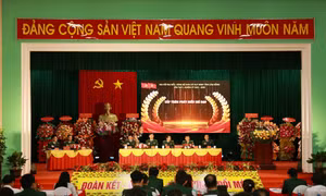 Bộ đội Biên phòng giữ vững an ninh vùng biên, giúp dân ổn định đời sống