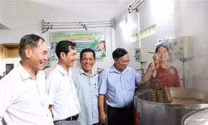 Hỗ trợ ứng dụng thiết bị tiên tiến sản xuất bánh tét