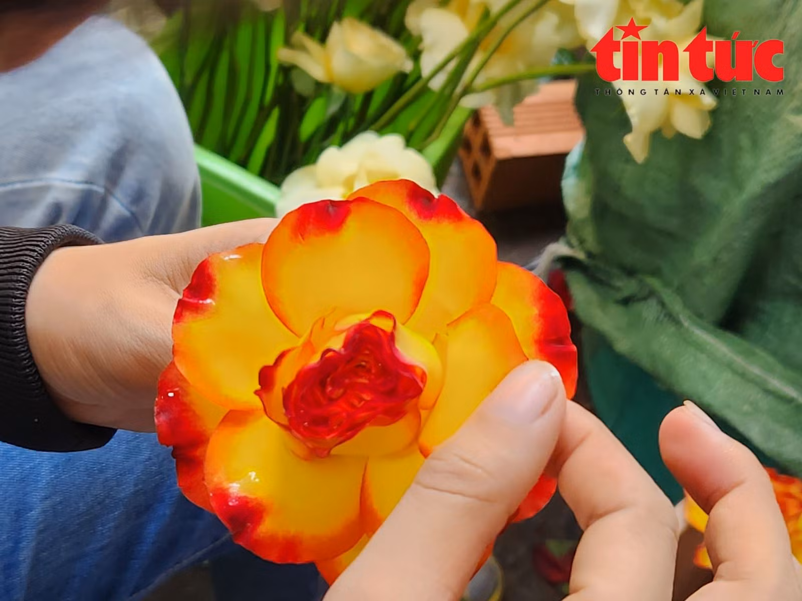 Chú thích ảnh