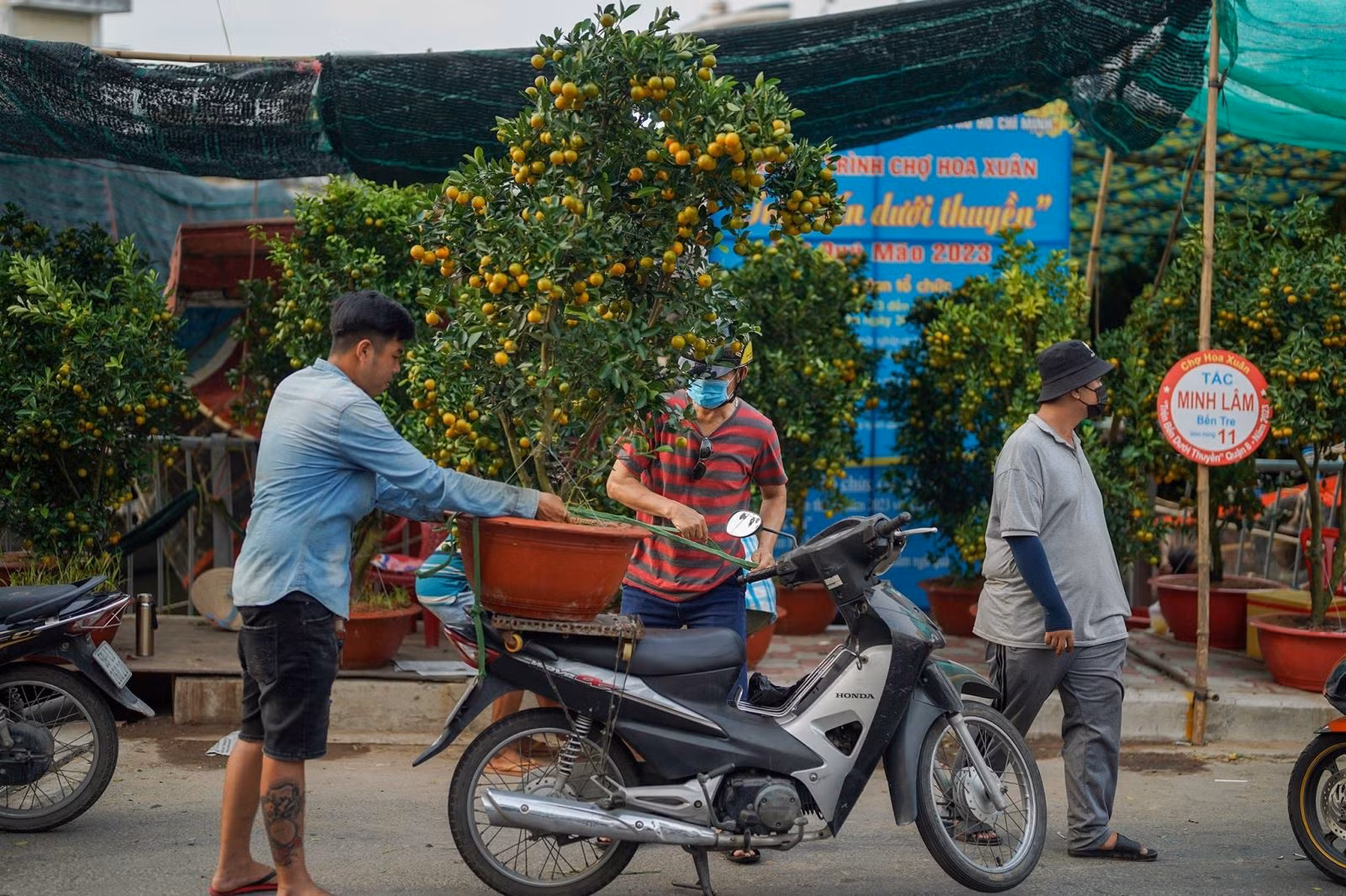 Chú thích ảnh