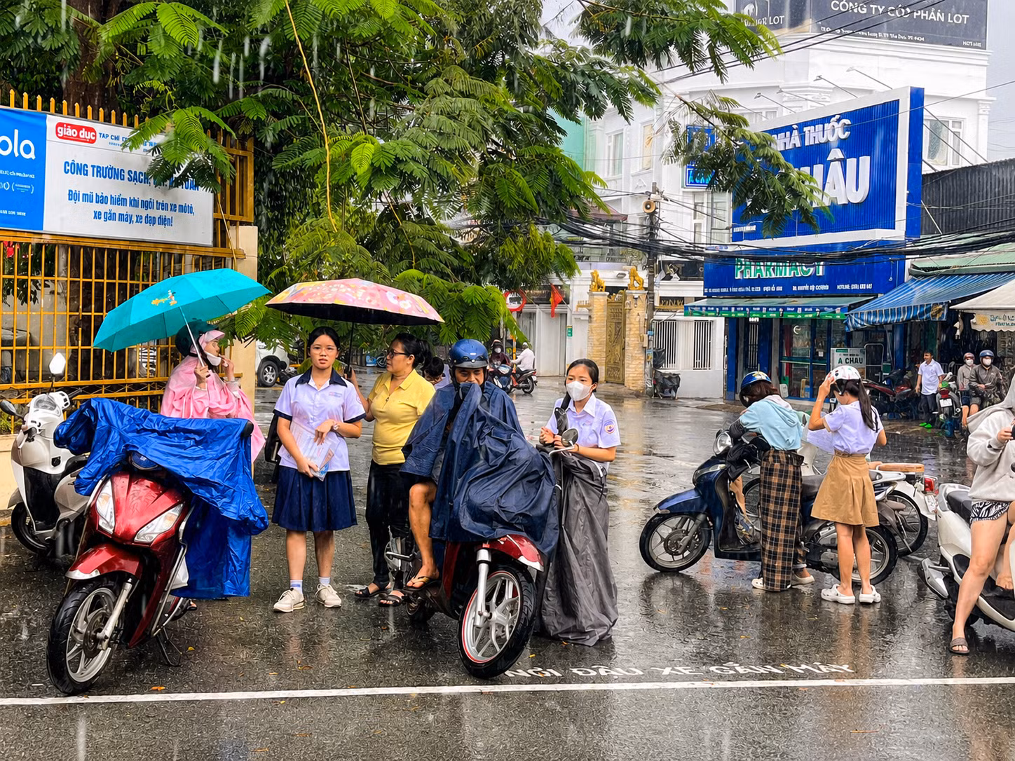 Chú thích ảnh
