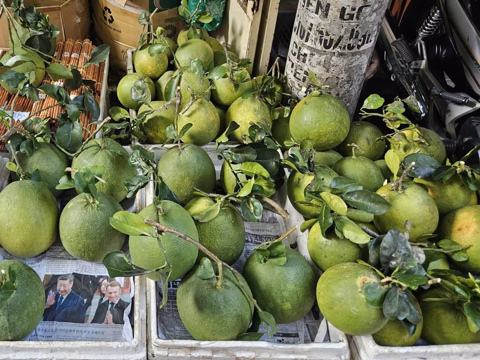 Chú thích ảnh