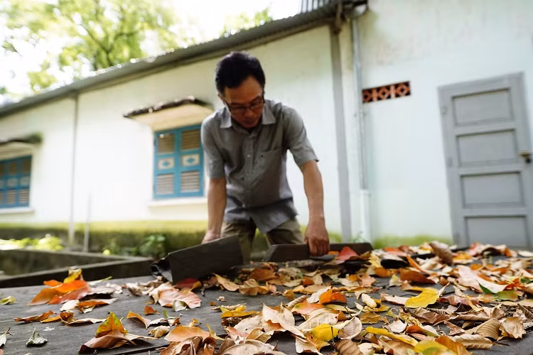 Chú thích ảnh