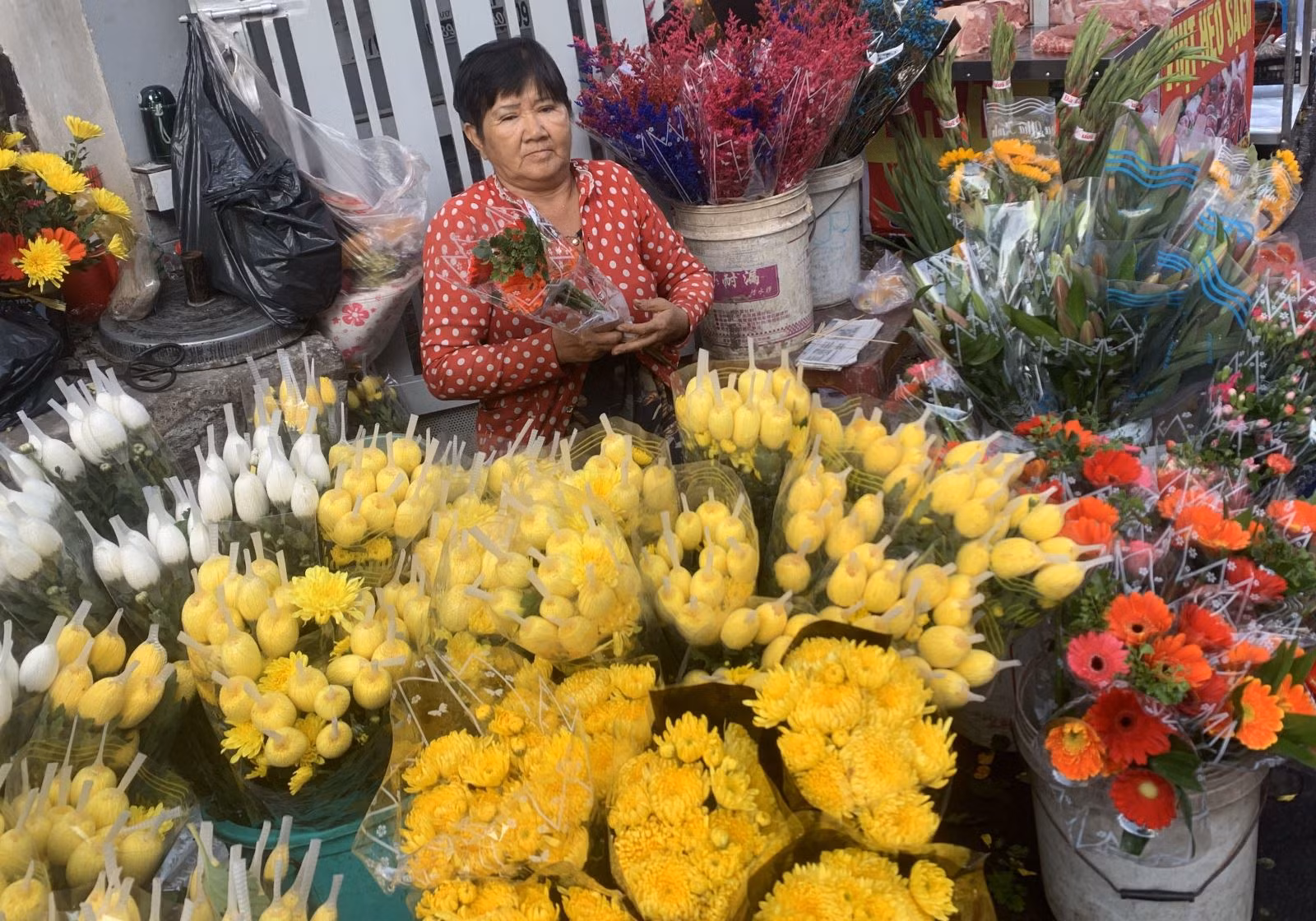 Chú thích ảnh