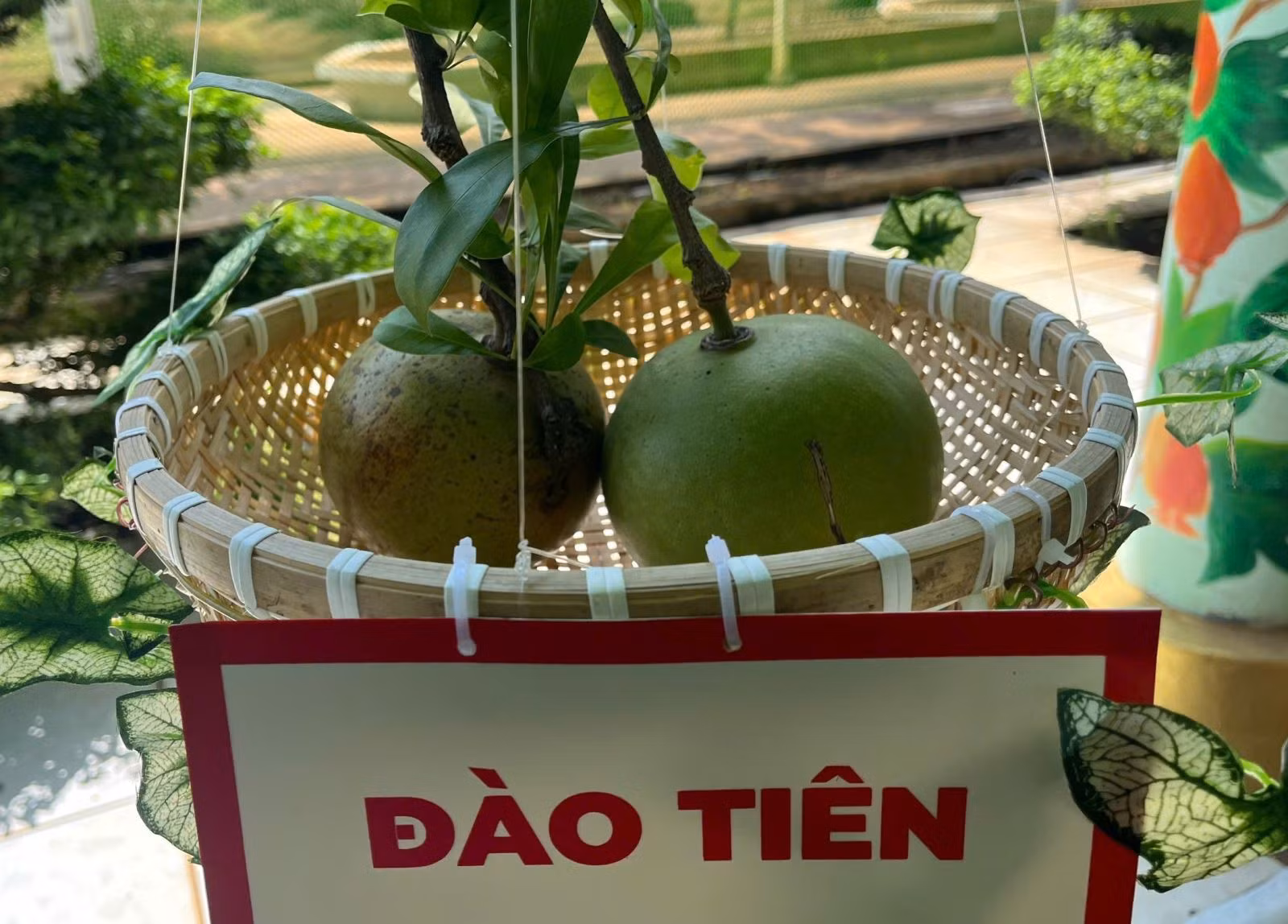 Chú thích ảnh