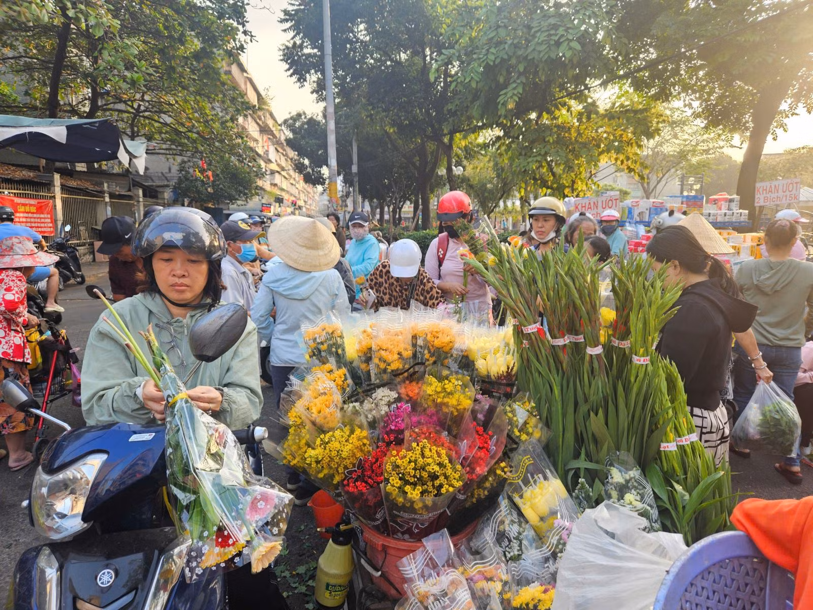 Chú thích ảnh