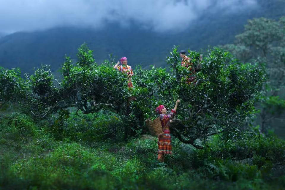 Chú thích ảnh