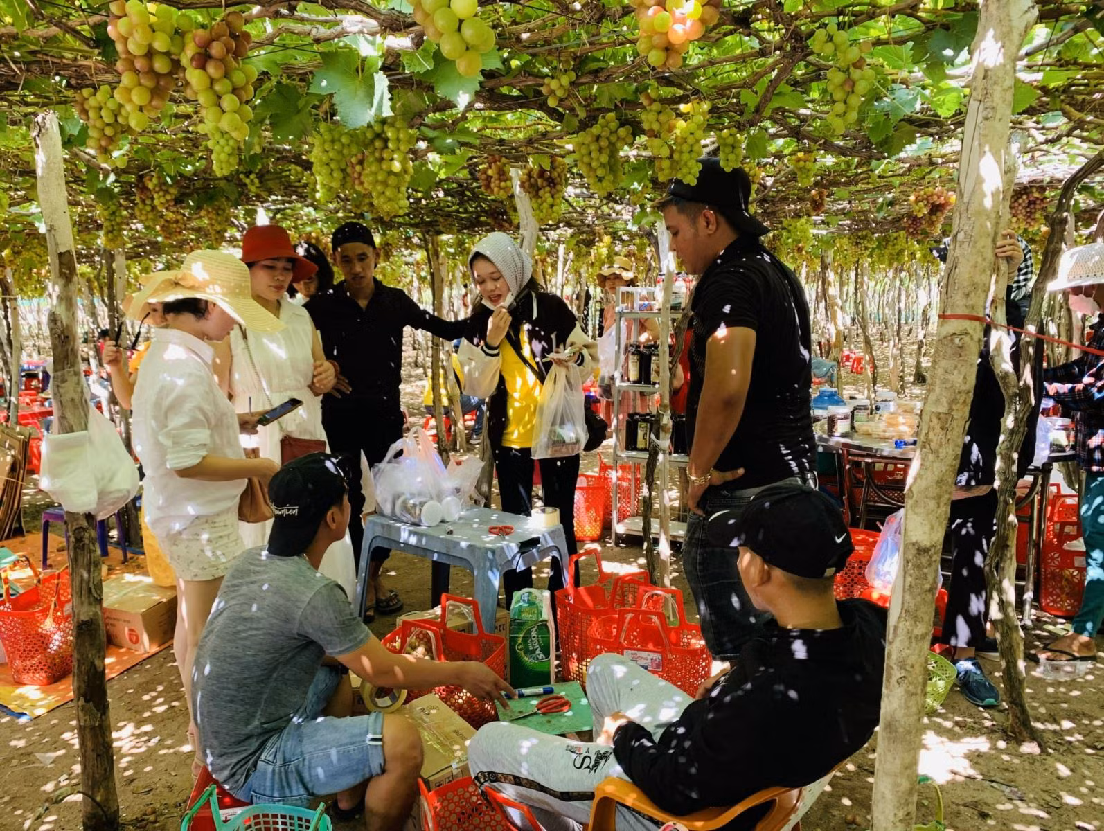 Chú thích ảnh