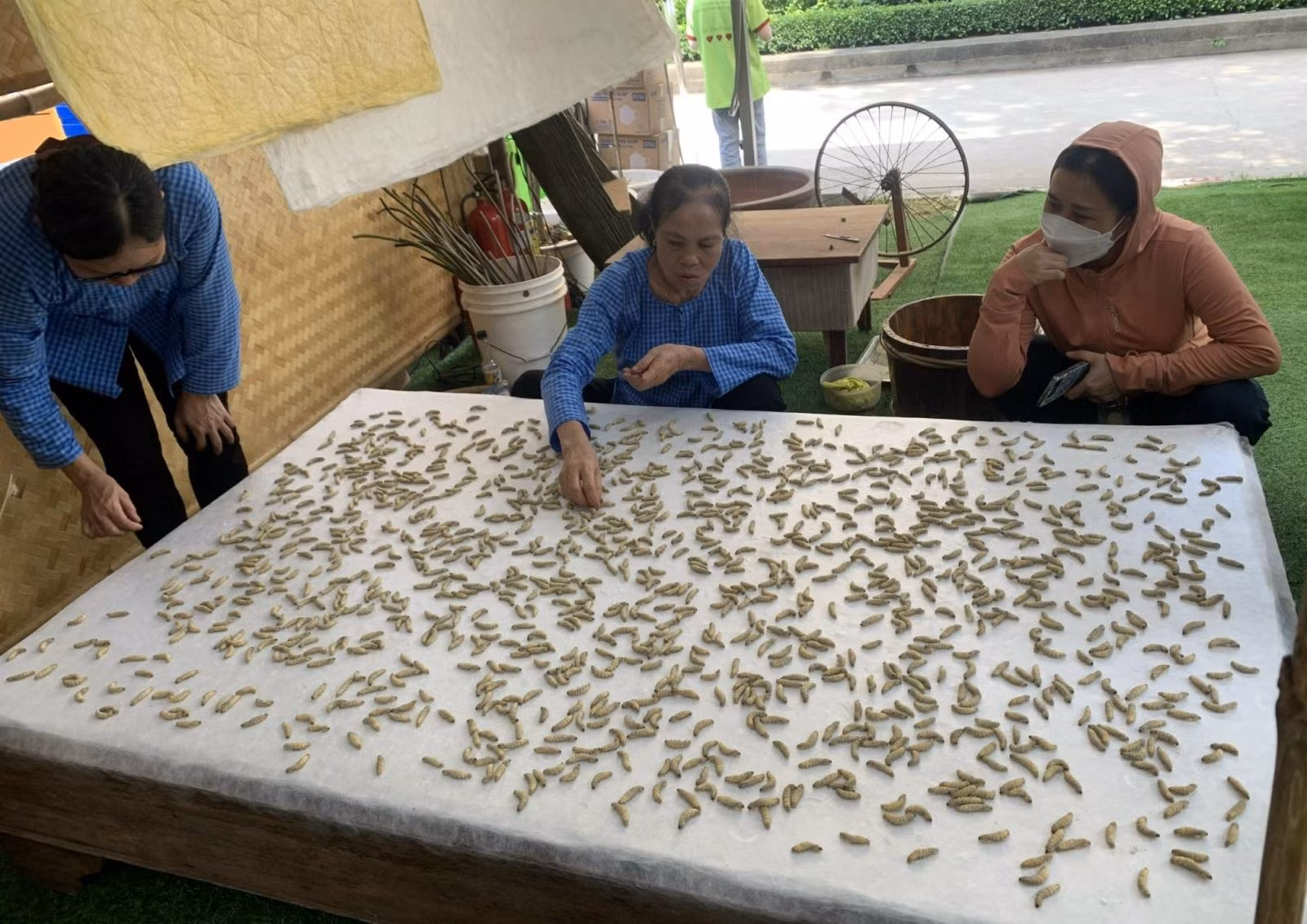 Chú thích ảnh
