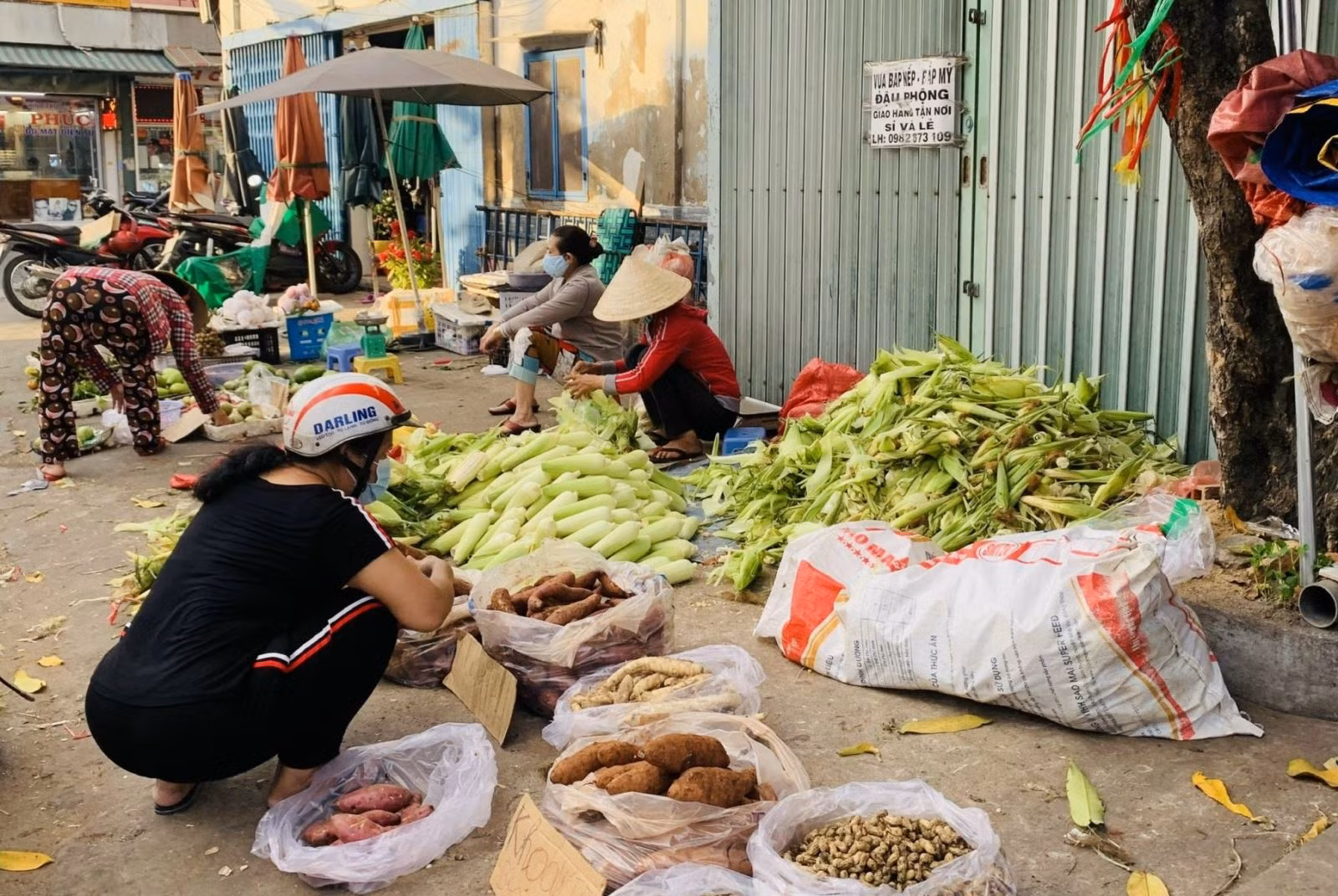Chú thích ảnh