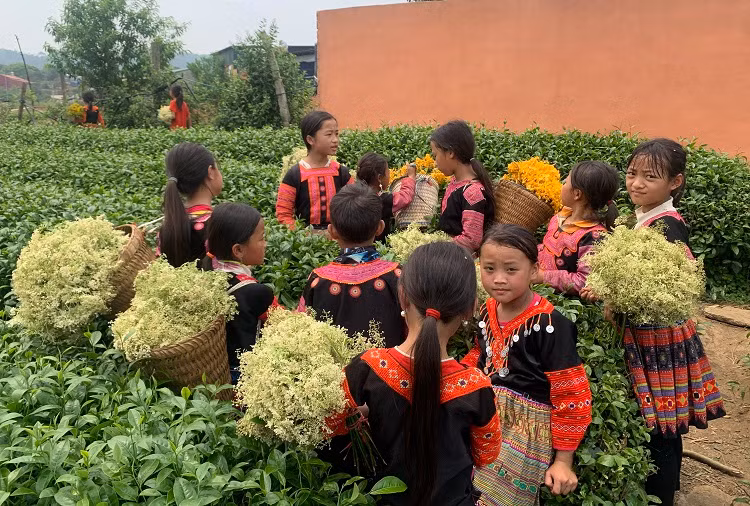 Chú thích ảnh