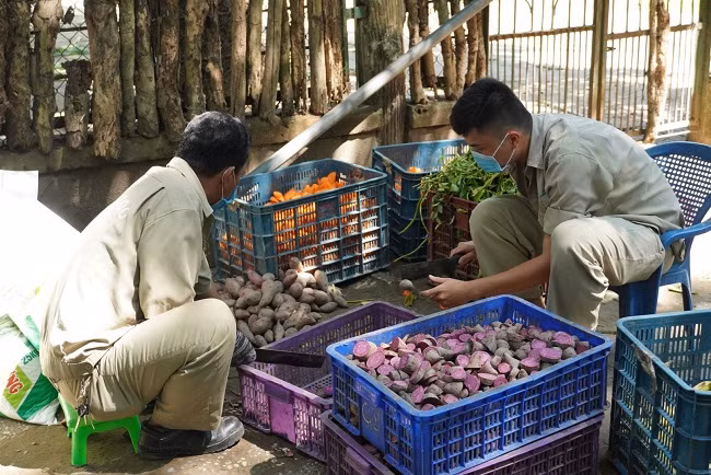 Chú thích ảnh