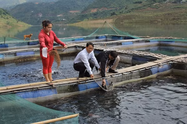 Tây Bắc khai thác lợi thế hồ thủy điện ảnh 1