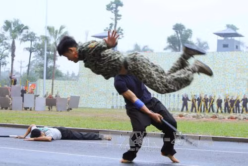 Đặc công Việt Nam nhào lộn, dùng cổ ấn cong mũi giáo ảnh 3