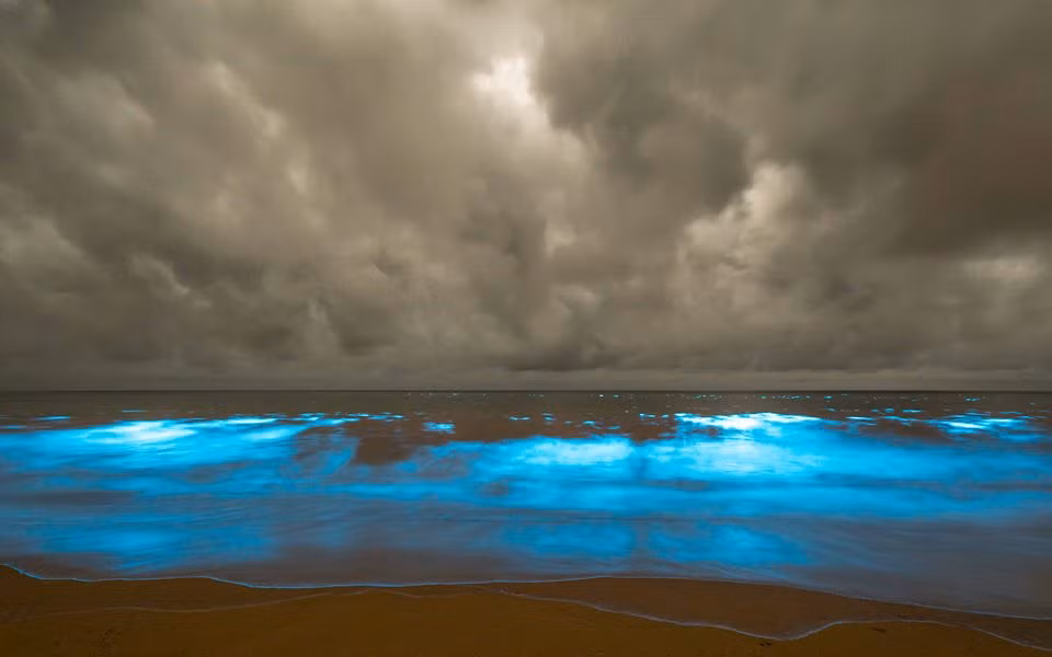 Australia: Biển bất ngờ chuyển màu xanh kỳ lạ ảnh 4