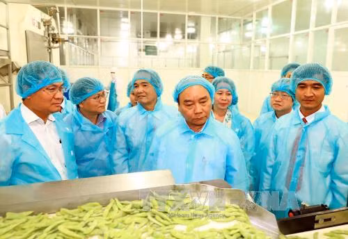 Đổi mới toàn diện ngành sản xuất lúa gạo ảnh 3