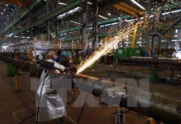 Công nghiệp Việt Nam phát triển "đa nhưng không tinh" ảnh 1