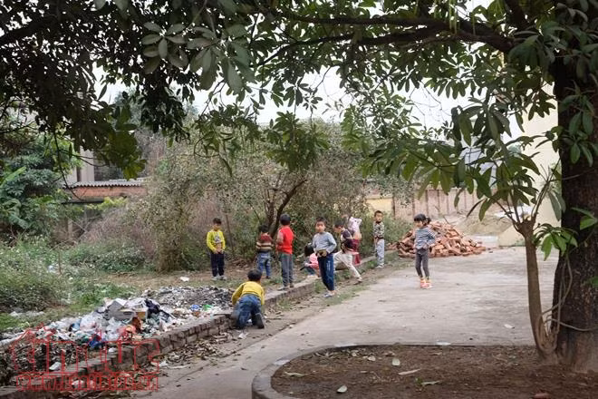 Trường chuẩn quốc gia, học sinh đi vệ sinh ở… đống rác ảnh 9