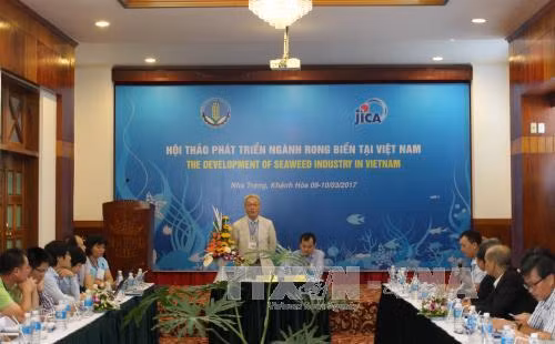 Đánh thức nghề rong biển ảnh 1