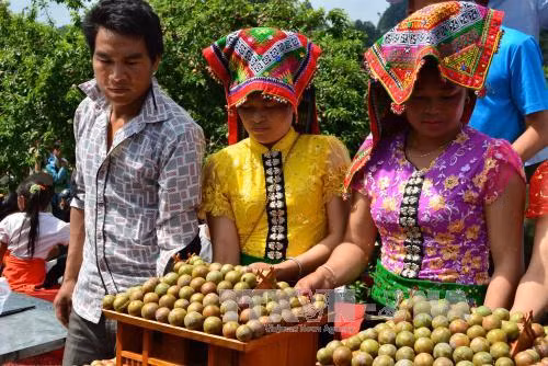 Sơn La đẩy mạnh tiêu thụ sản phẩm an toàn tại Hà Nội ảnh 1