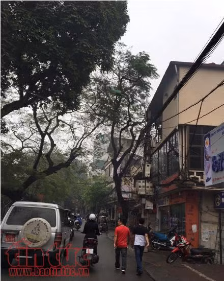 Vỉa hè chật hẹp, người dân thong thả đi... dưới lòng đường ảnh 10