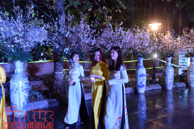 Tưng bừng đêm khai mạc giao lưu văn hóa Nhật Bản và triển lãm hoa anh đào ảnh 1