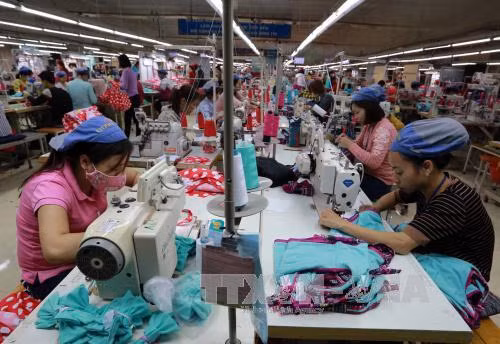 Khó tìm ra sai phạm quy chuẩn dệt may tại các doanh nghiệp uy tín ảnh 1