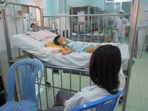  Gia tăng số trẻ mắc bệnh viêm não Nhật Bản ảnh 1
