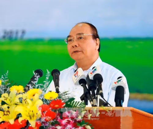 Đổi mới toàn diện ngành sản xuất lúa gạo ảnh 1