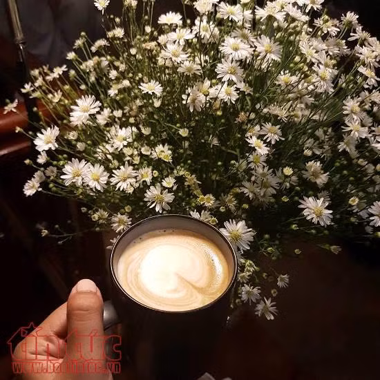 Quán cafe 'làm chảnh', chỉ dành cho khách quen ảnh 4