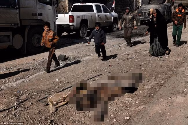 Các tay súng IS chết như ngả rạ trên đường phố Mosul ảnh 5