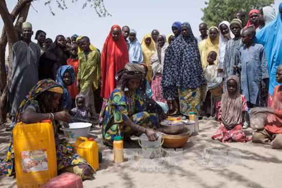 Nigeria đập tan âm mưu khủng bố, giải cứu hơn 200 con tin ảnh 1