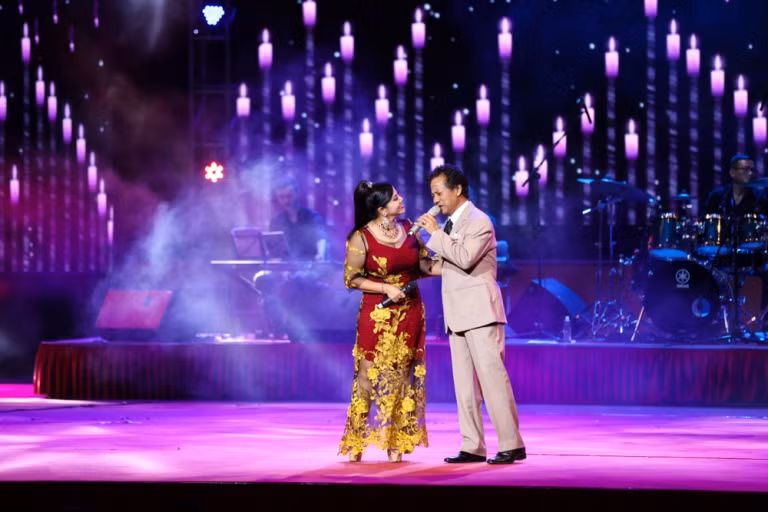 Chế Linh hạnh phúc với liveshow đông kín khán giả Thủ đô ảnh 11