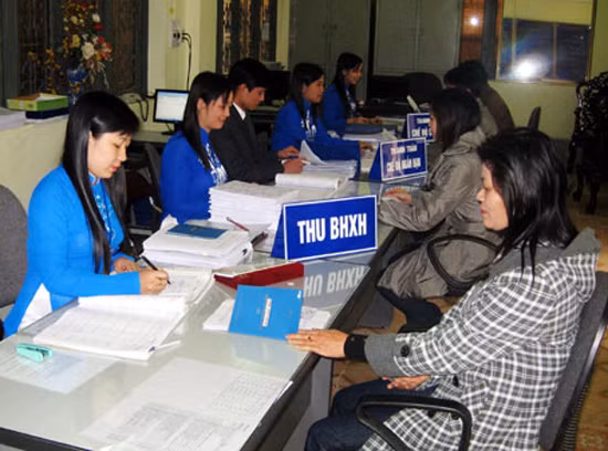 Đóng đủ BHXH tự nguyện trước hạn, được lương hưu sớm? ảnh 1