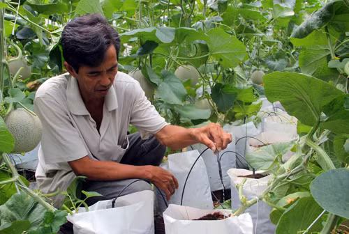 Tháo “nút thắt” ứng dụng khoa học công nghệ ảnh 1