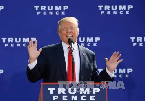 Điều gì sẽ xảy ra nếu Donald Trump thua cuộc? ảnh 1