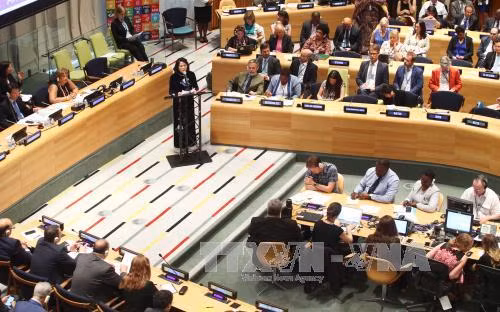 Dấu ấn Việt Nam trong ECOSOC ảnh 1