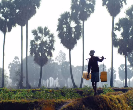 Nghề làm đường thốt nốt của đồng bào Khmer ảnh 1