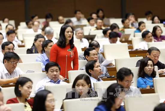 Sửa đổi Bộ luật Hình sự phải bảo đảm khả thi, thực tiễn ảnh 1