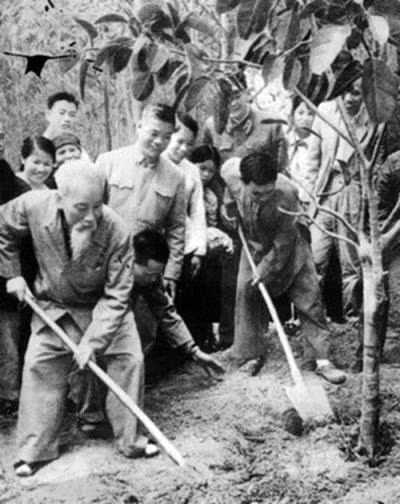 Bác Hồ với mùa xuân ảnh 1