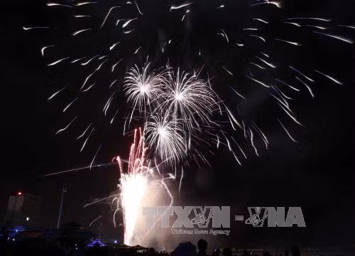 Cả nước sôi động đón mừng 2016 ảnh 3