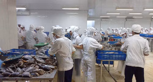 Bảo đảm quyền lợi người lao động để hội nhập ảnh 1