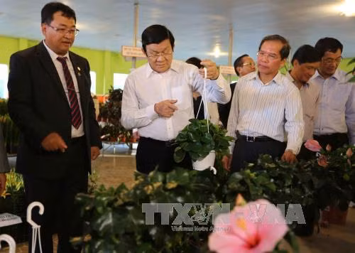 Chủ tịch nước thăm một số mô hình nông nghiệp tại Lâm Đồng ảnh 2