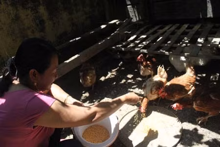 Trường Sa-Sức sống mãnh liệt giữa biển khơi ảnh 7