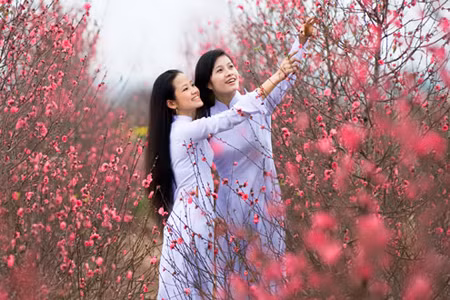 Cây đào tình yêu ảnh 1